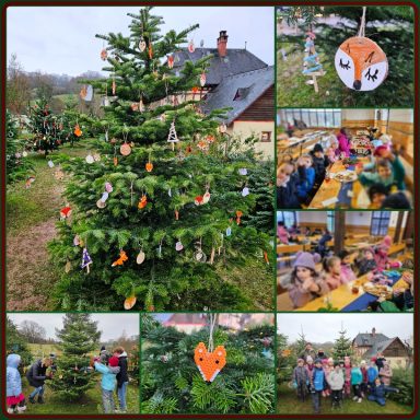 Tannenbaum schmücken 